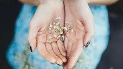 Je eigen psycholoog: zo bepaal je het persoonlijkheidstype van iemand aan de hand van zijn handen